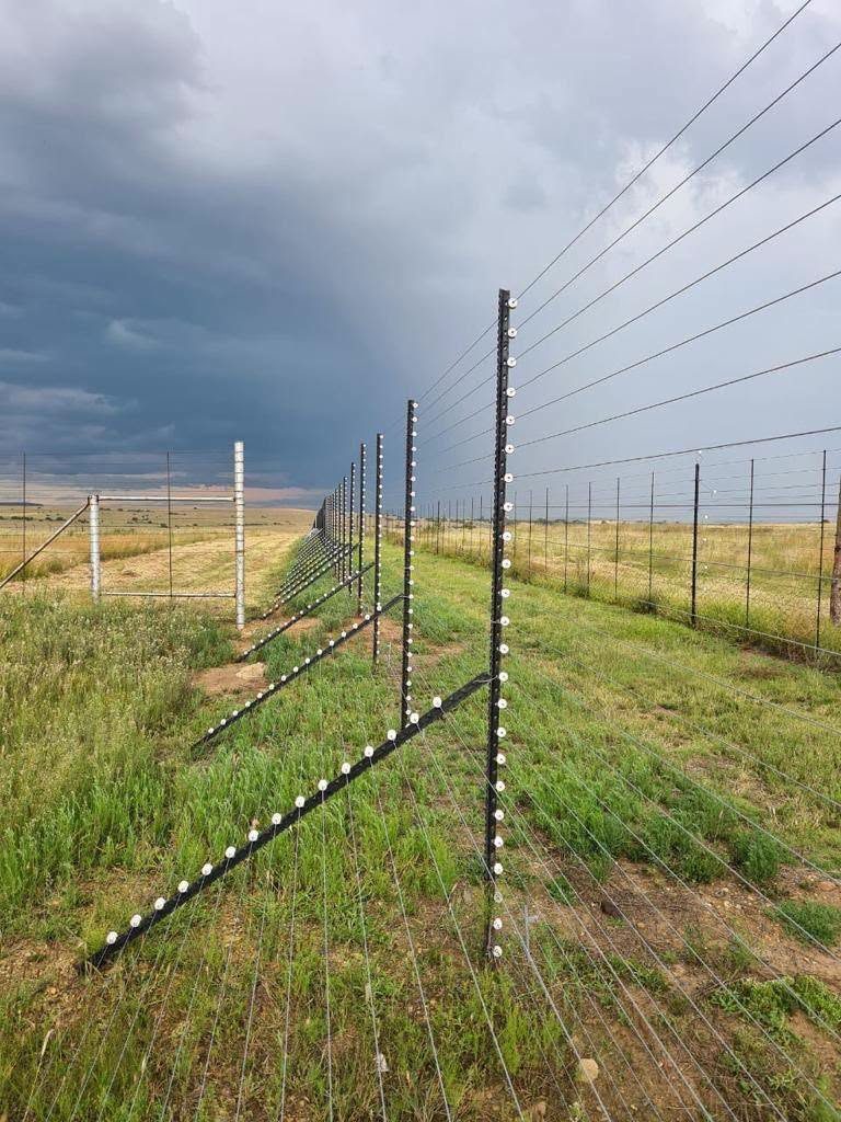 Electric fencing along an open boundary line